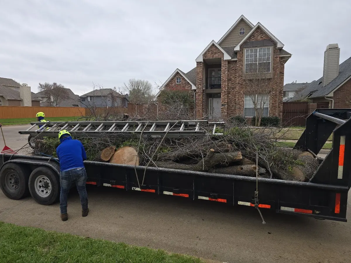 Expert Tree Removal with proper safety equipment in Zaleski